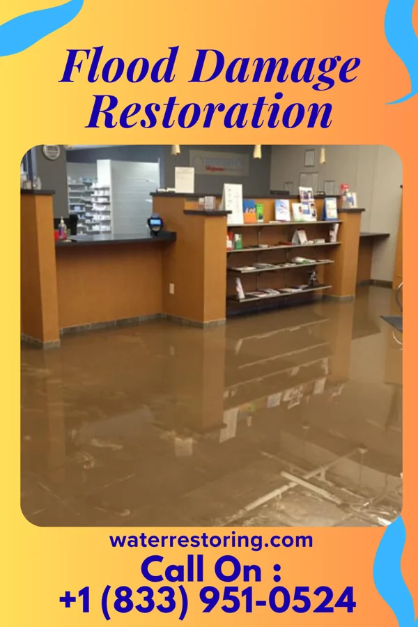 Flood Damage Restoration in Morrison, IL
