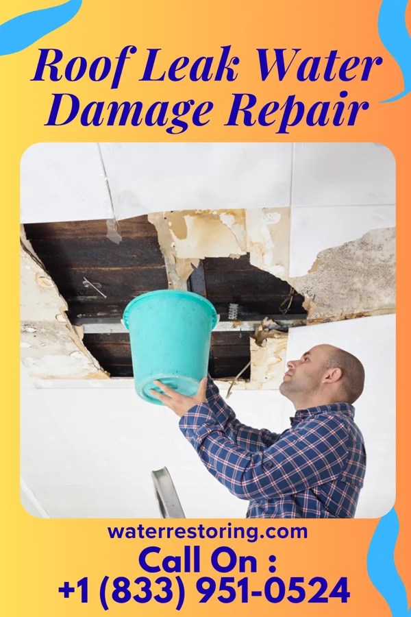 Roof Leak Water Damage Repair in Morrison, IL